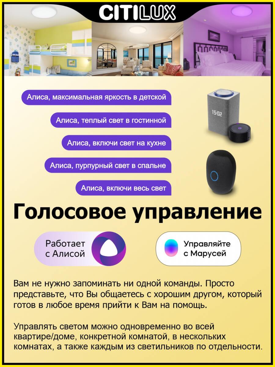 Потолочный светильник CL718A100G