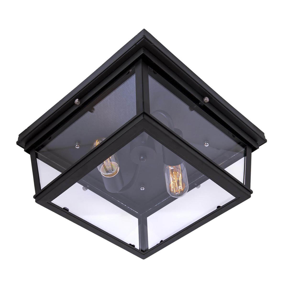 Потолочный светильник Loft3110-2C