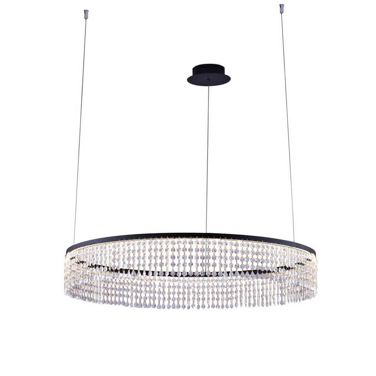 Eclipse 1672.1 D800 Led