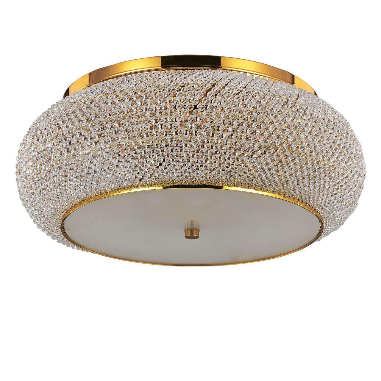 Pasha PL10 Oro
