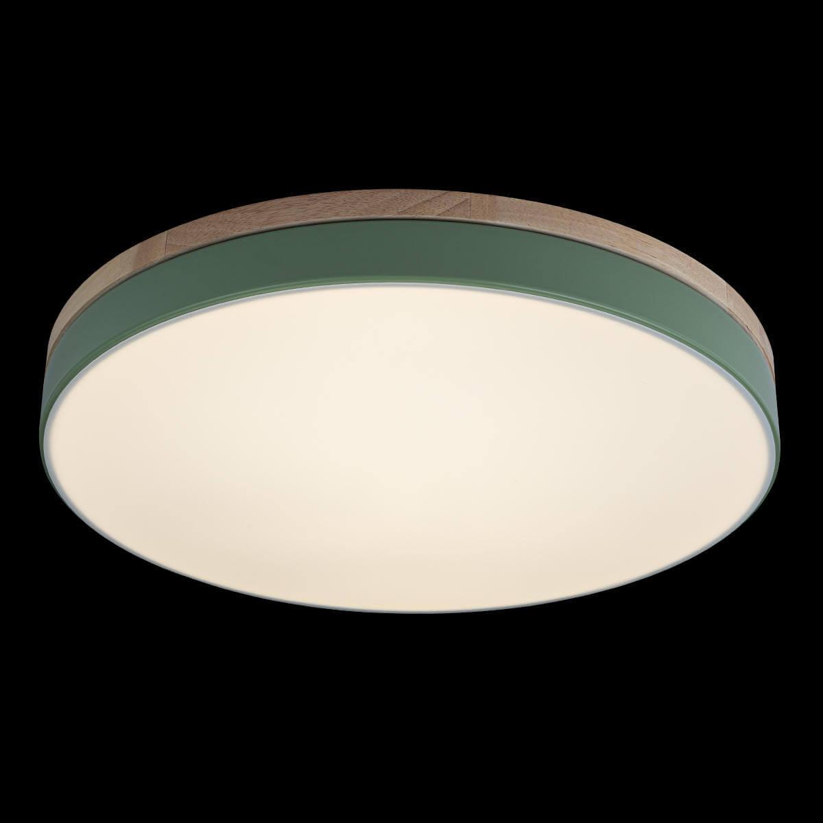 Потолочный светильник 10001/36 Green