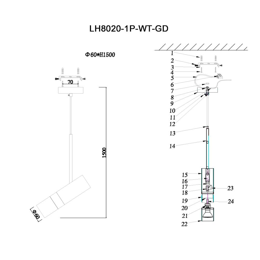 Подвесной светильник LH8020/1P-WT-GD