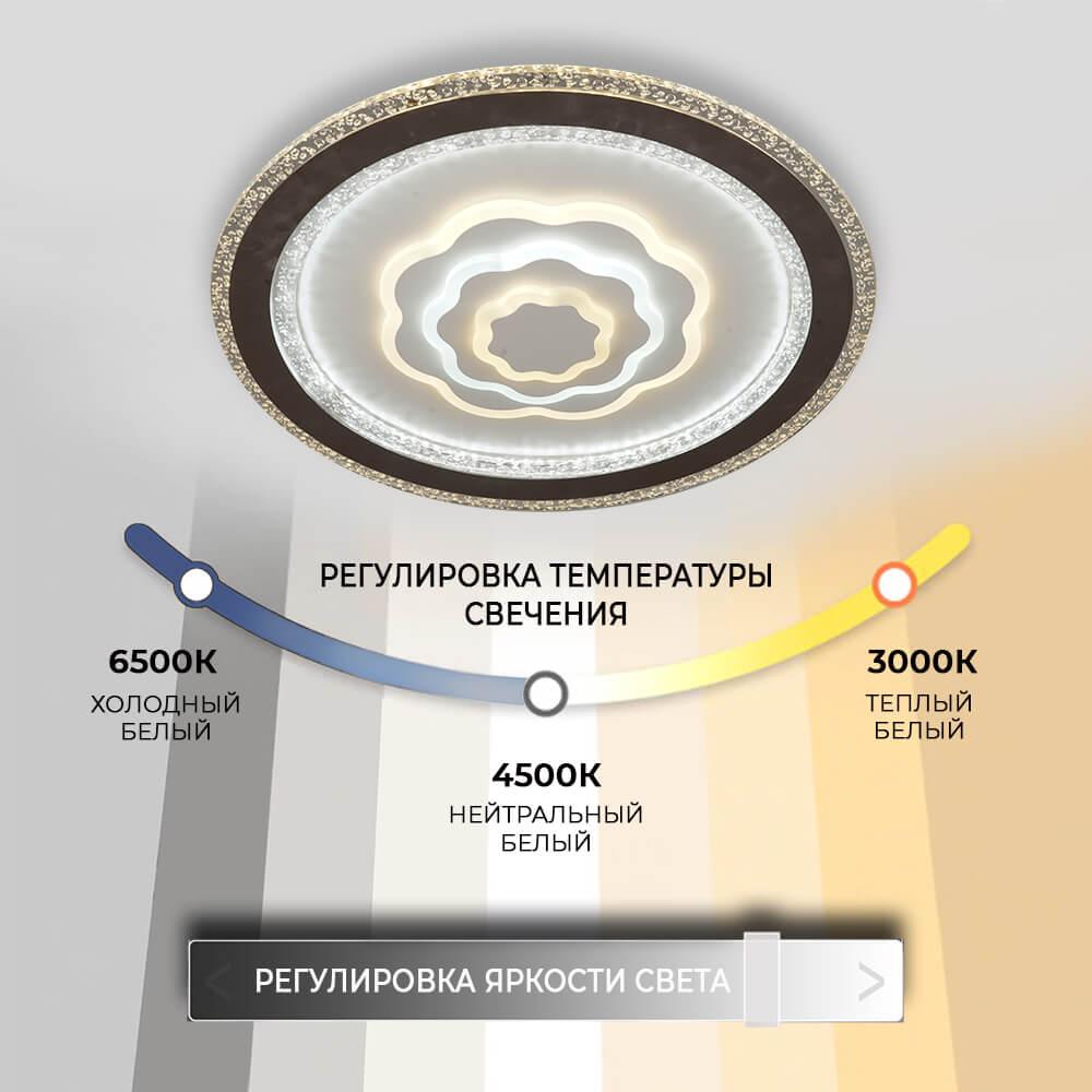 Потолочный светильник 75383.01.09.136