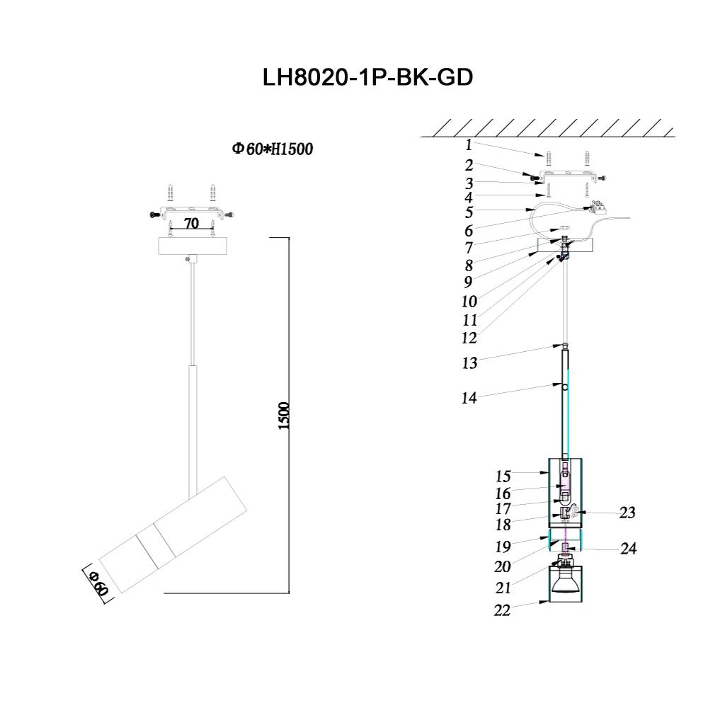 Подвесной светильник LH8020/1P-BK-GD