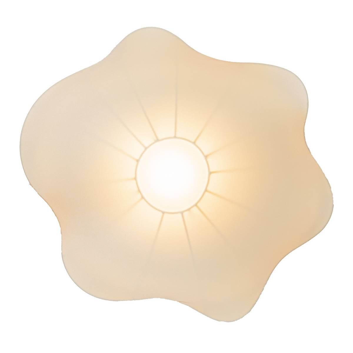 Потолочный светильник Daisy AP1 10 09s