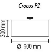 Crocus Glade P2 01 05g