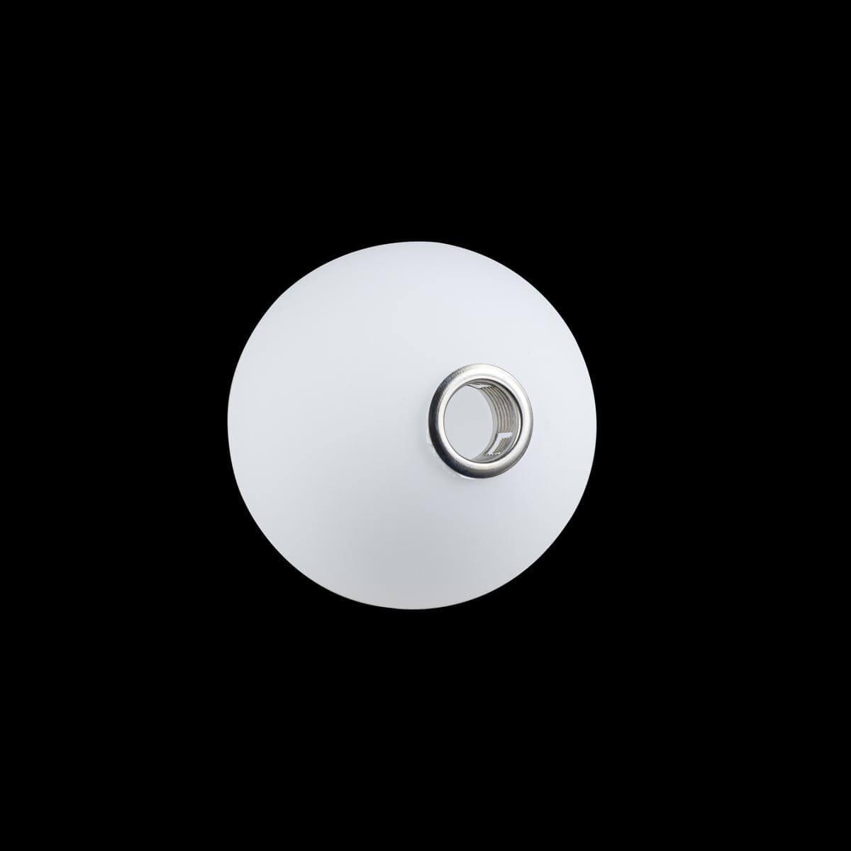 Потолочный светильник 10008/1C white