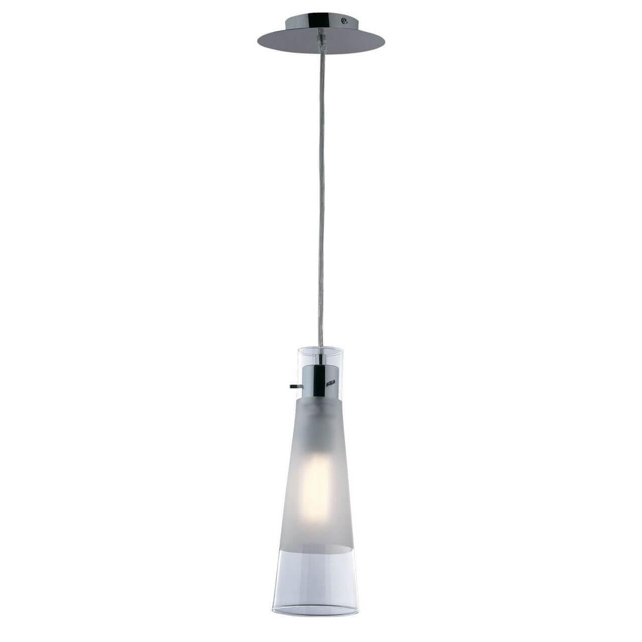 Kuky SP1 Trasparente