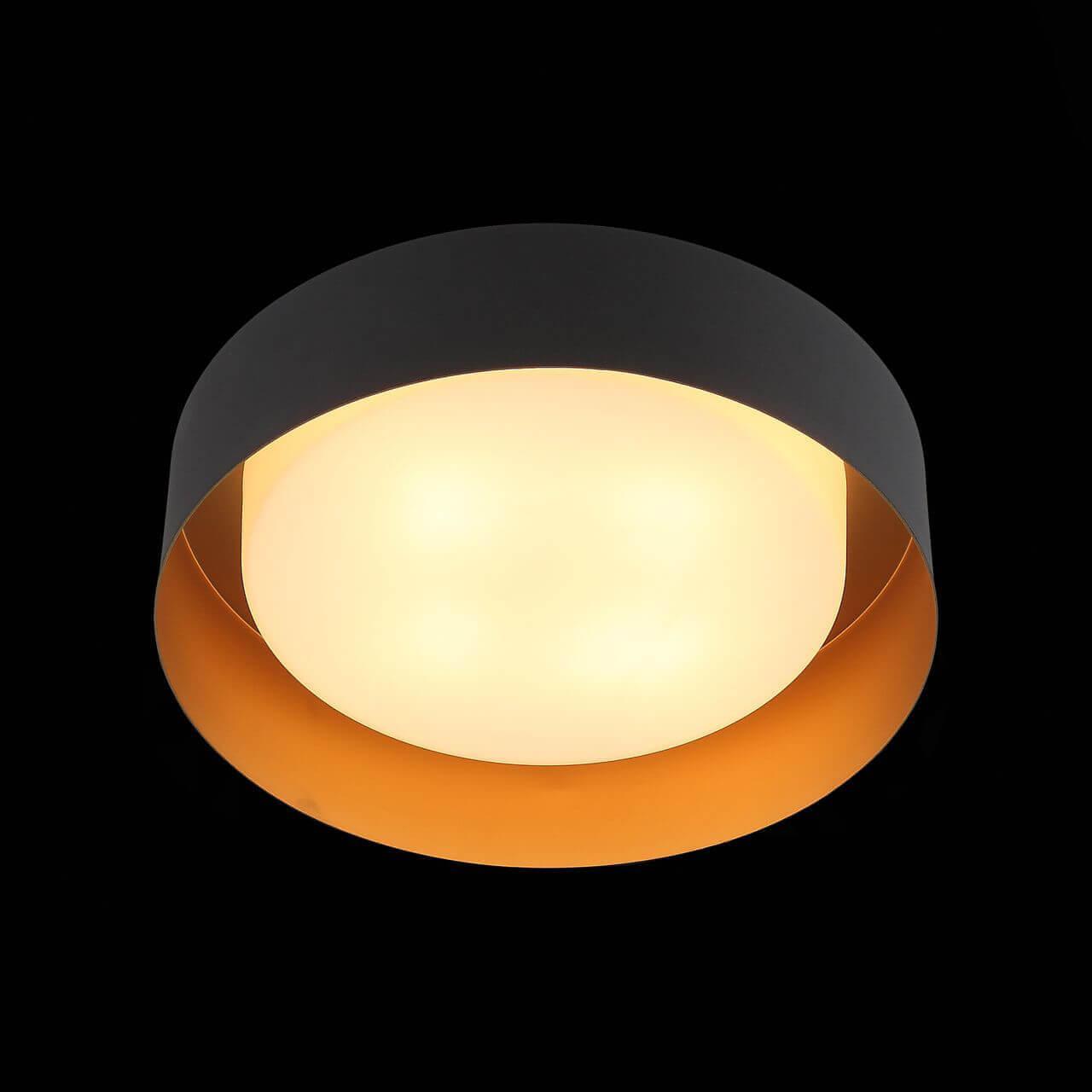 Потолочный светильник SL392.422.04