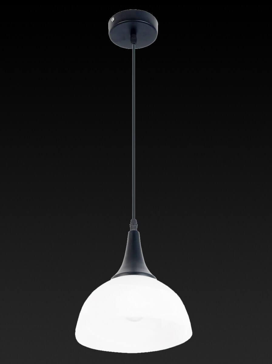 Подвесной светильник TL4420D-01BL