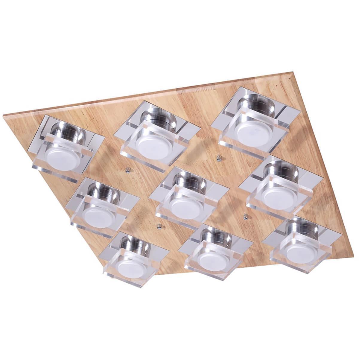 Потолочный светильник Natura 073.9 LED
