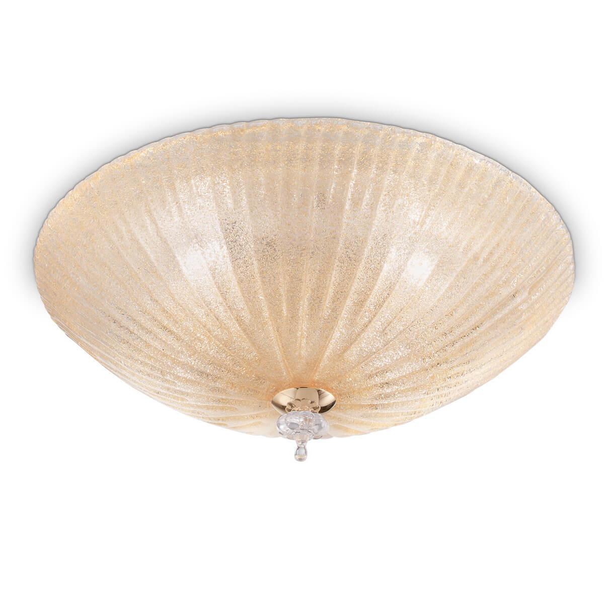 Shell PL6 Ambra