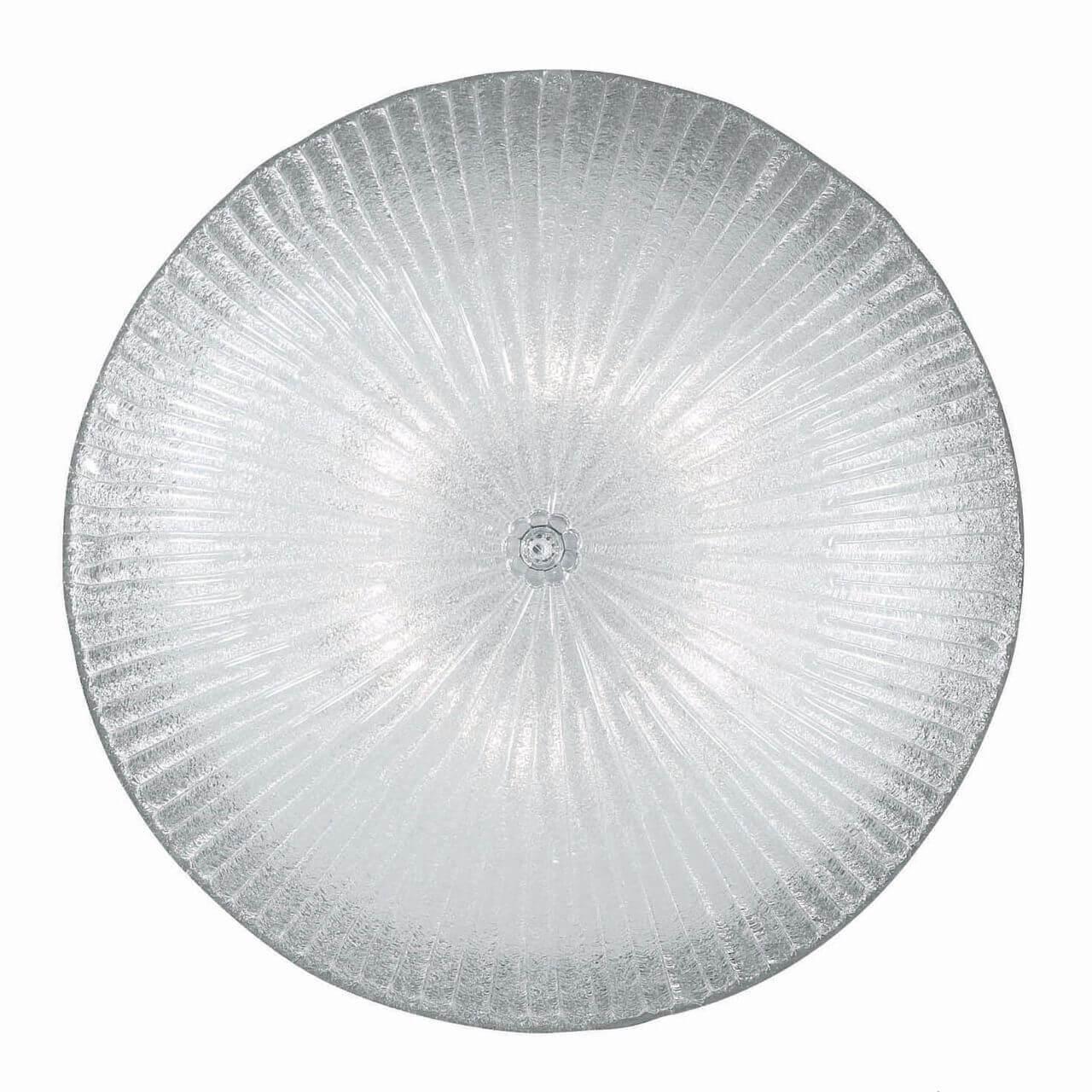 Shell PL6 Trasparente