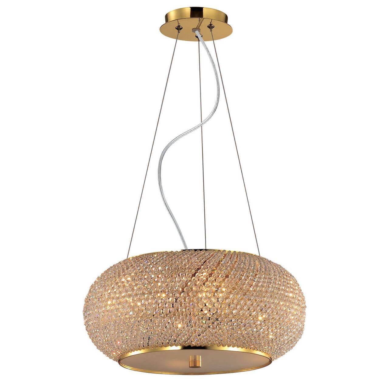 Pasha SP6 Oro