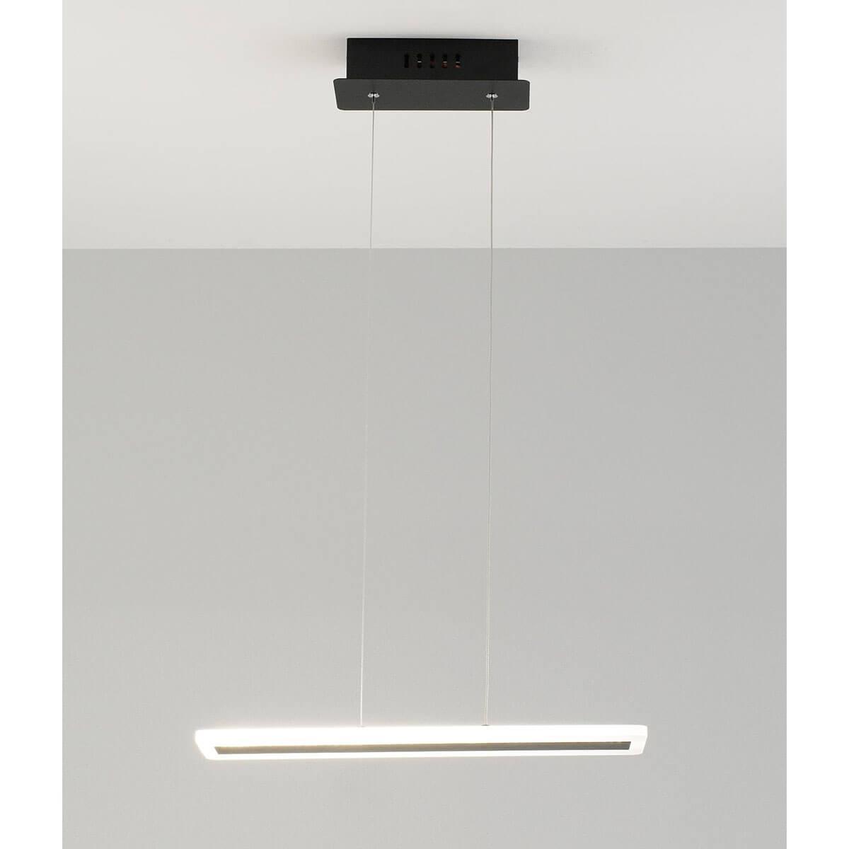 V2441-PL