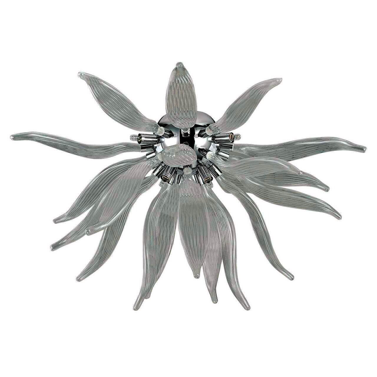 Leaves PL6 Fume