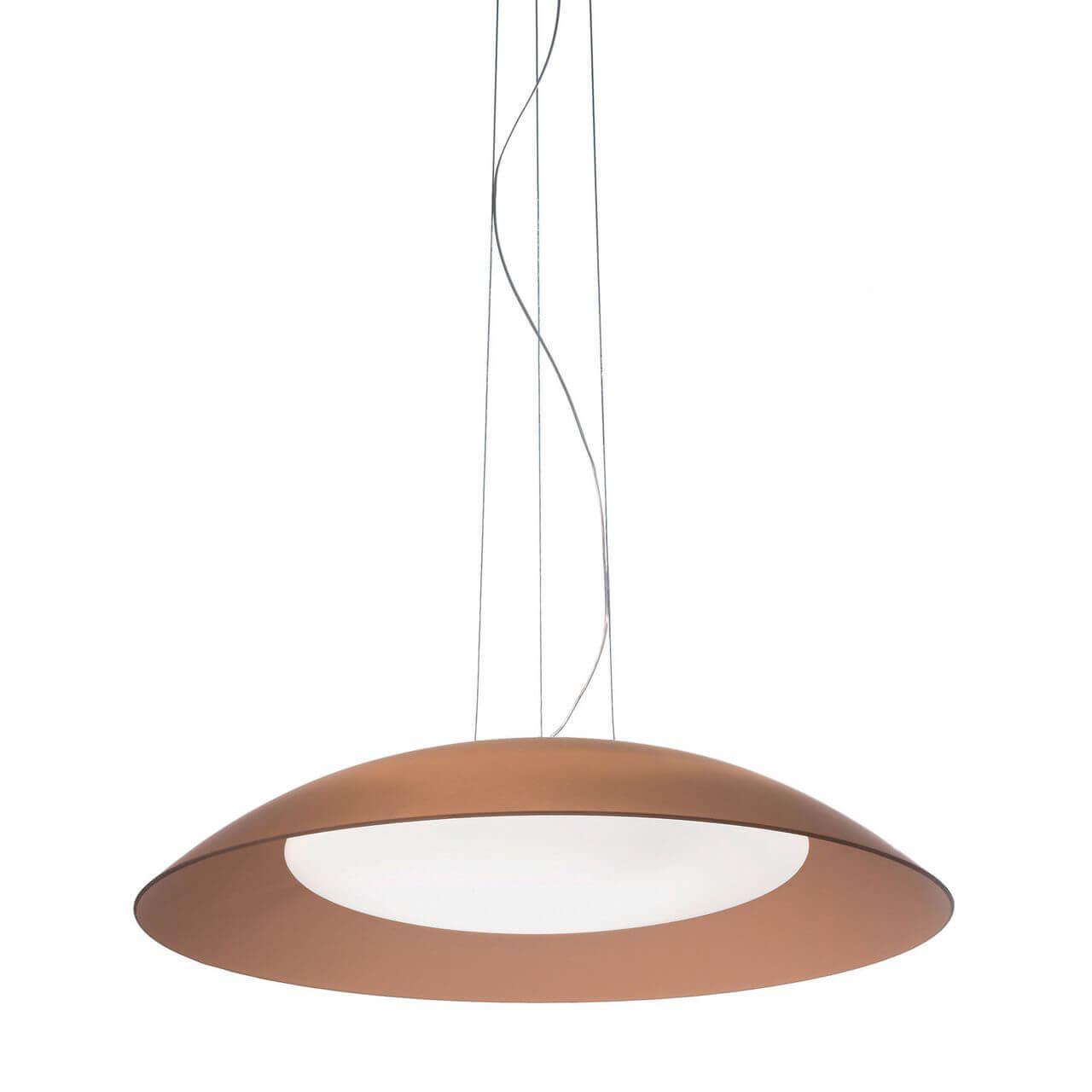Lena SP3 D64 Marrone