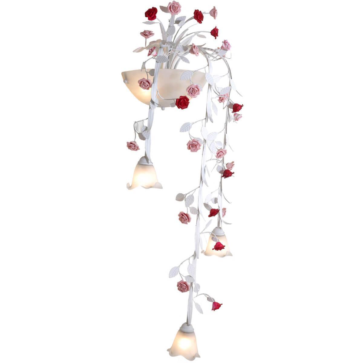 Fiori Di Rose 113.3.2