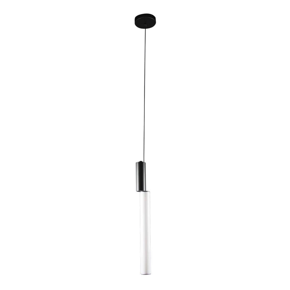 10051 Black