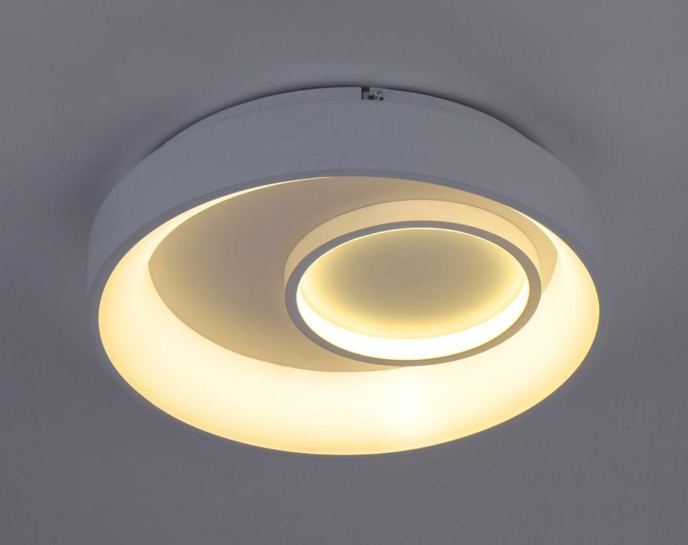 Потолочный светильник 10207/2LED