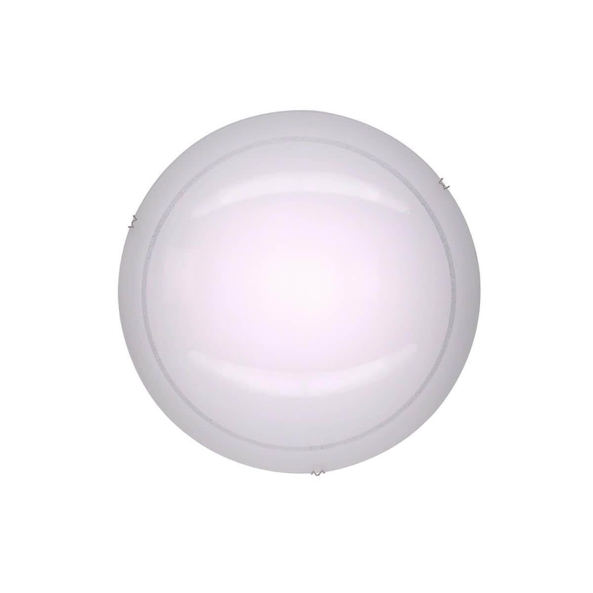 CL918081