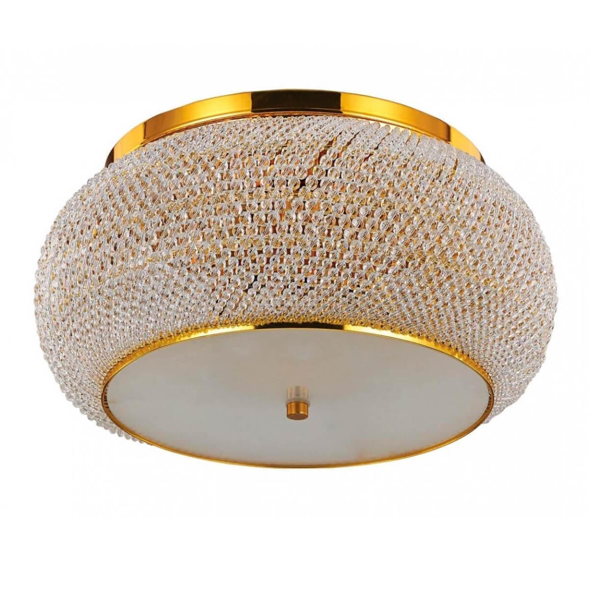 Pasha PL14 Oro