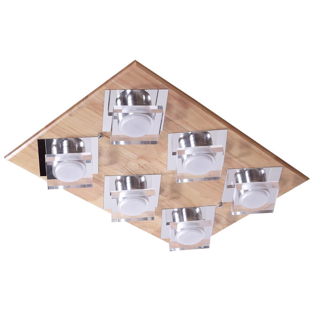 Потолочный светильник Natura 073.6 LED