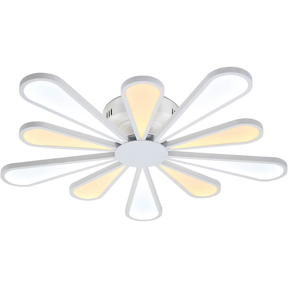 Miracoli 202.10 LED
