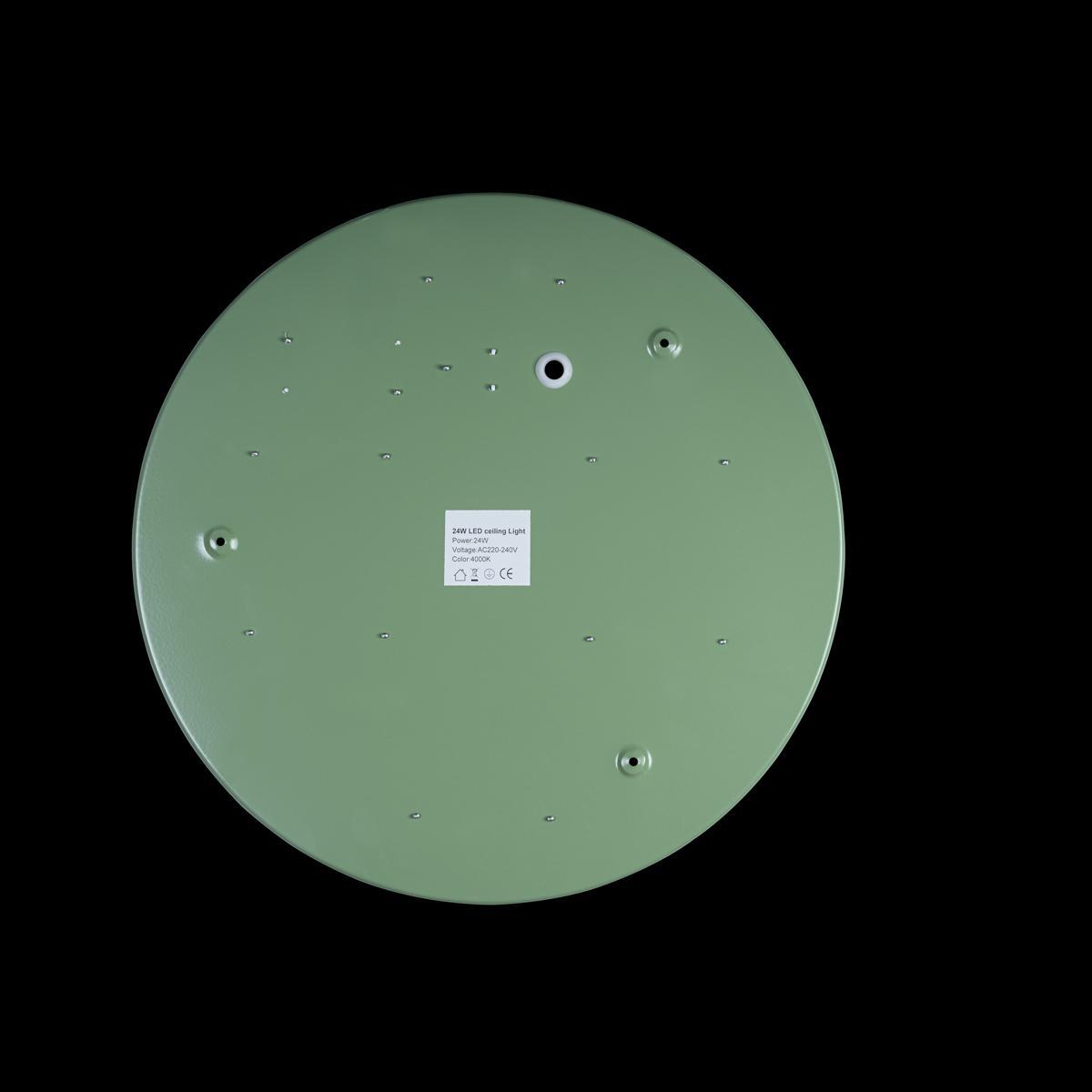 Потолочный светильник 10002/24 Green