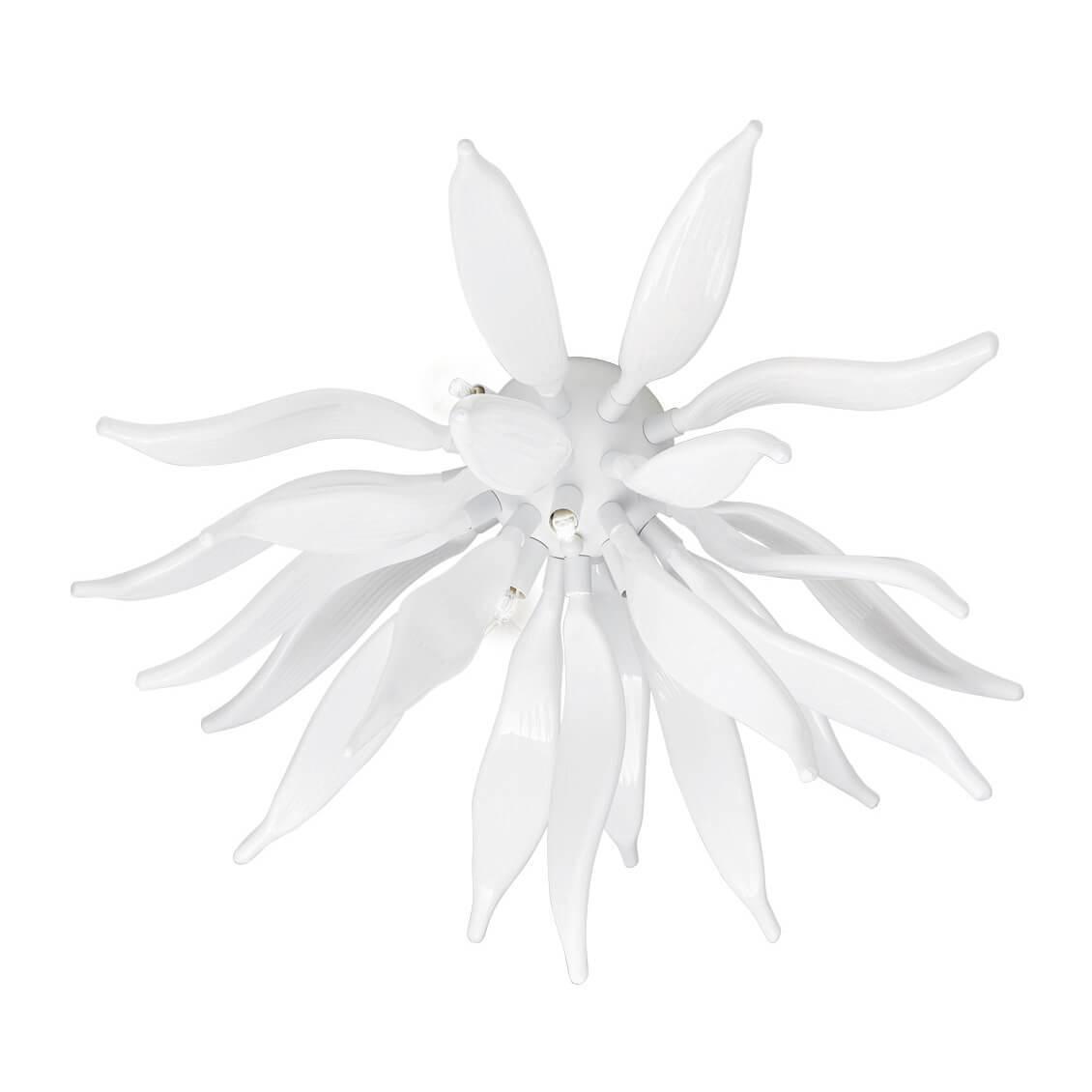 Leaves PL6 Bianco