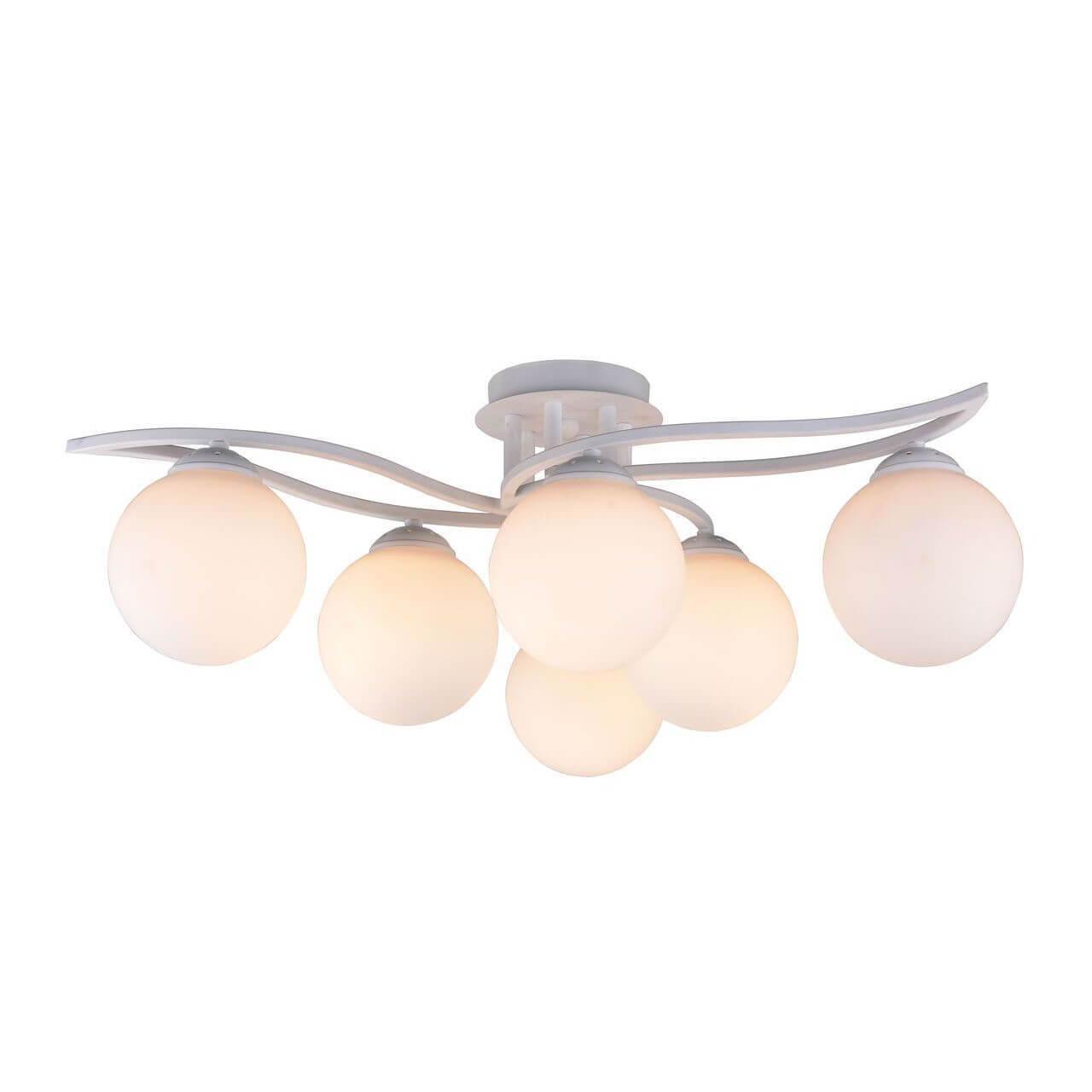 TL7320X-06WH