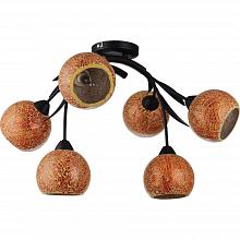 Потолочная люстра Lussole Bagheria LSF-6213-06