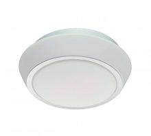 Потолочный светильник ST Luce Bagno SL496.502.01
