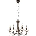Подвесная люстра Odeon Light Riva 2529/5