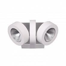 Светодиодный спот Odeon Light Laconis 3538/2WA