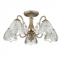 Потолочная люстра Lumion Jelis 3460/5C