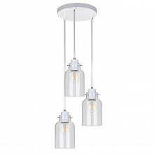 Подвесная люстра Spot Light Alessandro 1760332