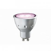 Лампа светодиодная рефлекторная GU10 5W розовый 28186