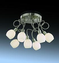 Потолочная люстра Odeon Light Diana 2208/7C