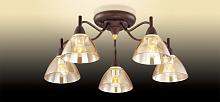 Потолочная люстра Odeon Light Treves 2625/5C