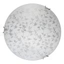 Настенно-потолочный светодиодный светильник Toplight Beatrice TL9281Y-00WH