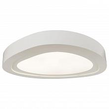 Потолочный светодиодный светильник Spot Light Cloud 5773102