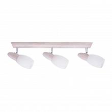 Спот Spot Light Juliana 2217332