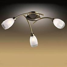 Потолочная люстра Odeon Light Lerta 1803/3C