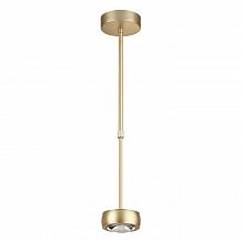 Подвесной светодиодный светильник Odeon Light Ottico 3874/10L