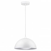 Подвесной светодиодный светильник Spot Light Ray 3050102