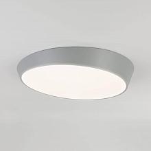 Потолочный светильник Eurosvet 90114/1 серый