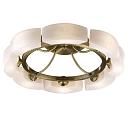 Потолочная люстра Odeon Light Barca 1713/8C