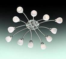 Потолочная люстра Odeon Light Akron 2469/12C