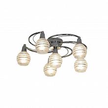 Потолочная люстра Lussole Barchi LSC-9307-06